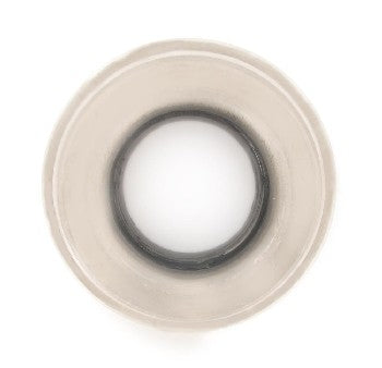 SKF Clutch Release Bearing N1701