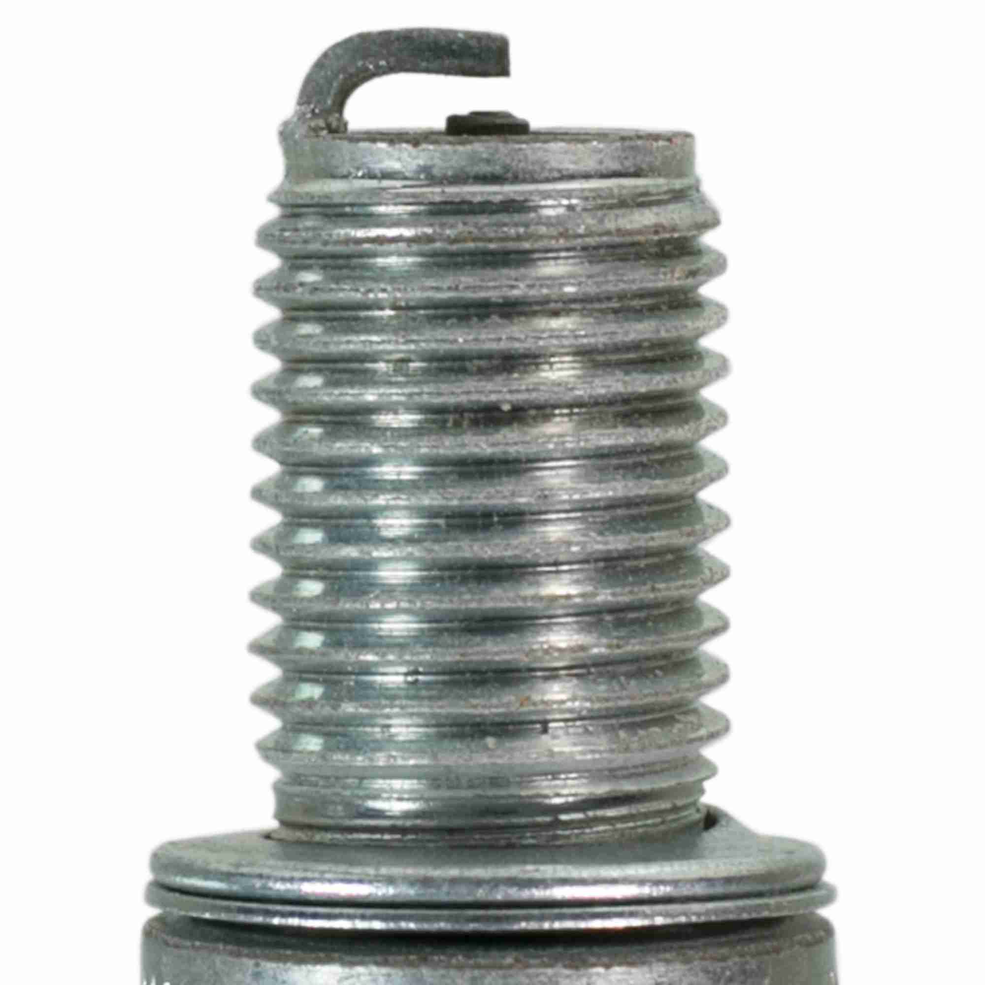 Champion Spark Plug Spark Plug 1006