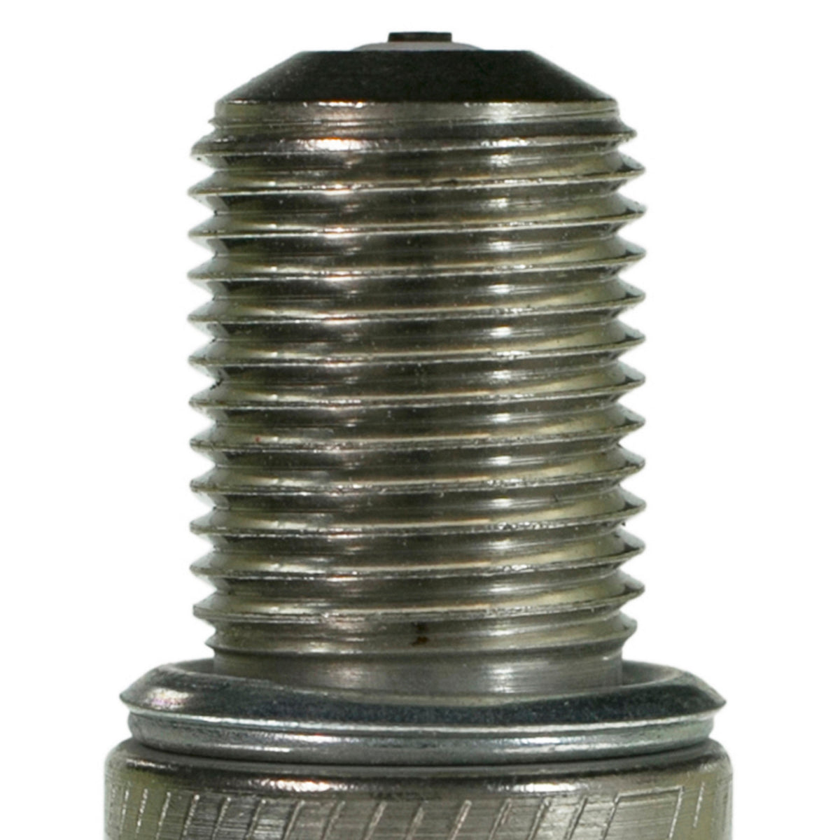 Champion 1031