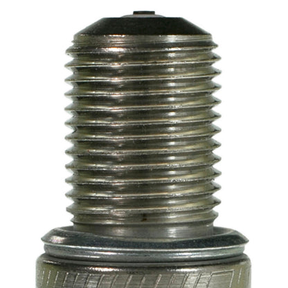 Champion Spark Plug Spark Plug 252