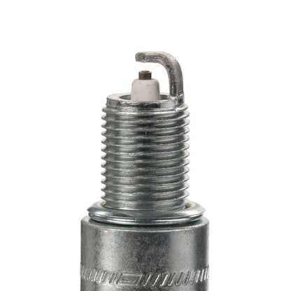 Champion Spark Plug Spark Plug 3031