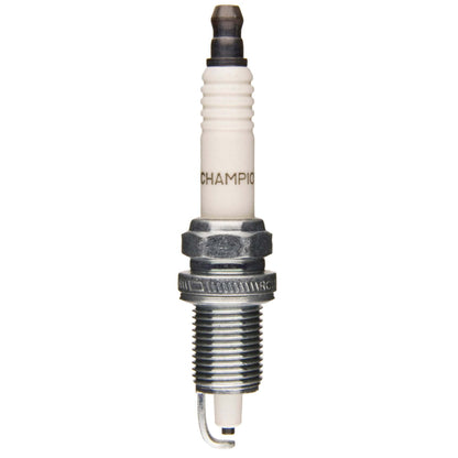 Champion 3034-2
