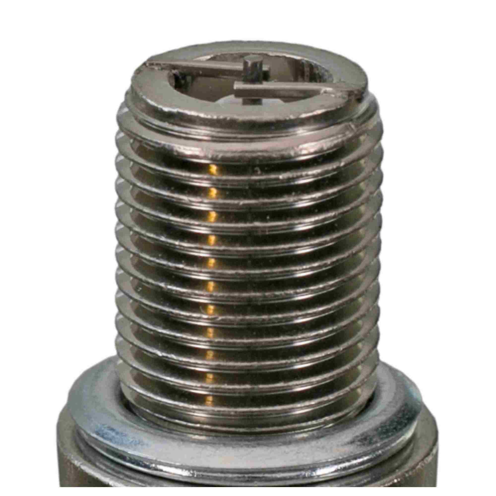 Champion 530
