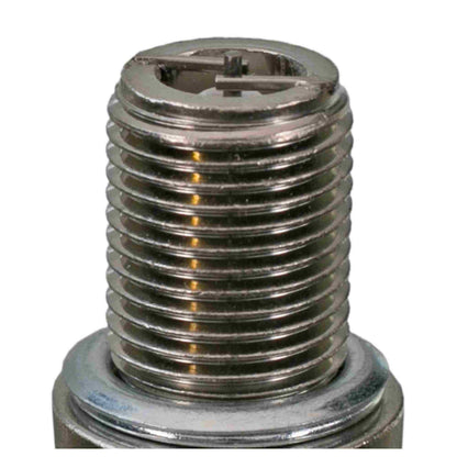 Champion 530