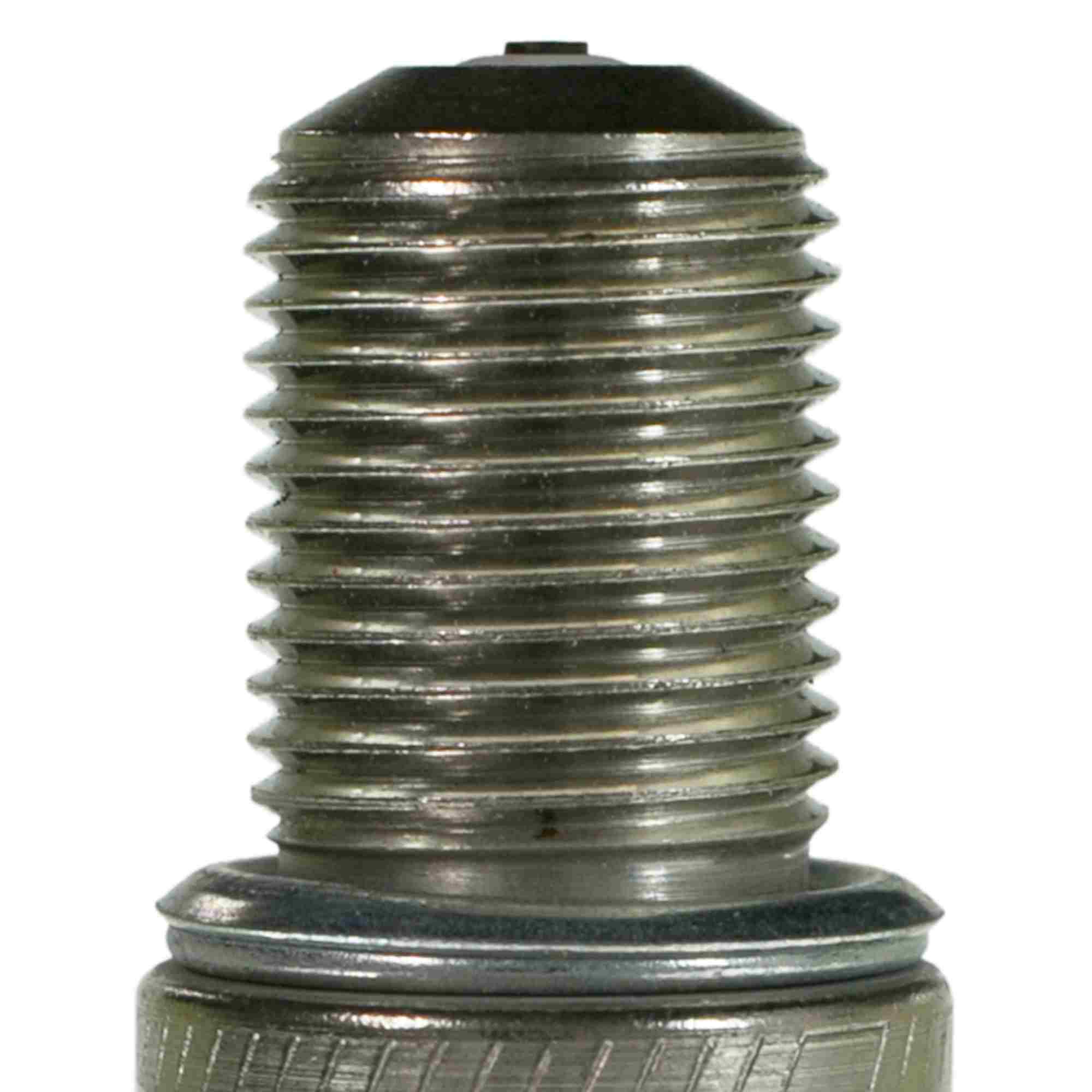 Champion Spark Plug Spark Plug 694