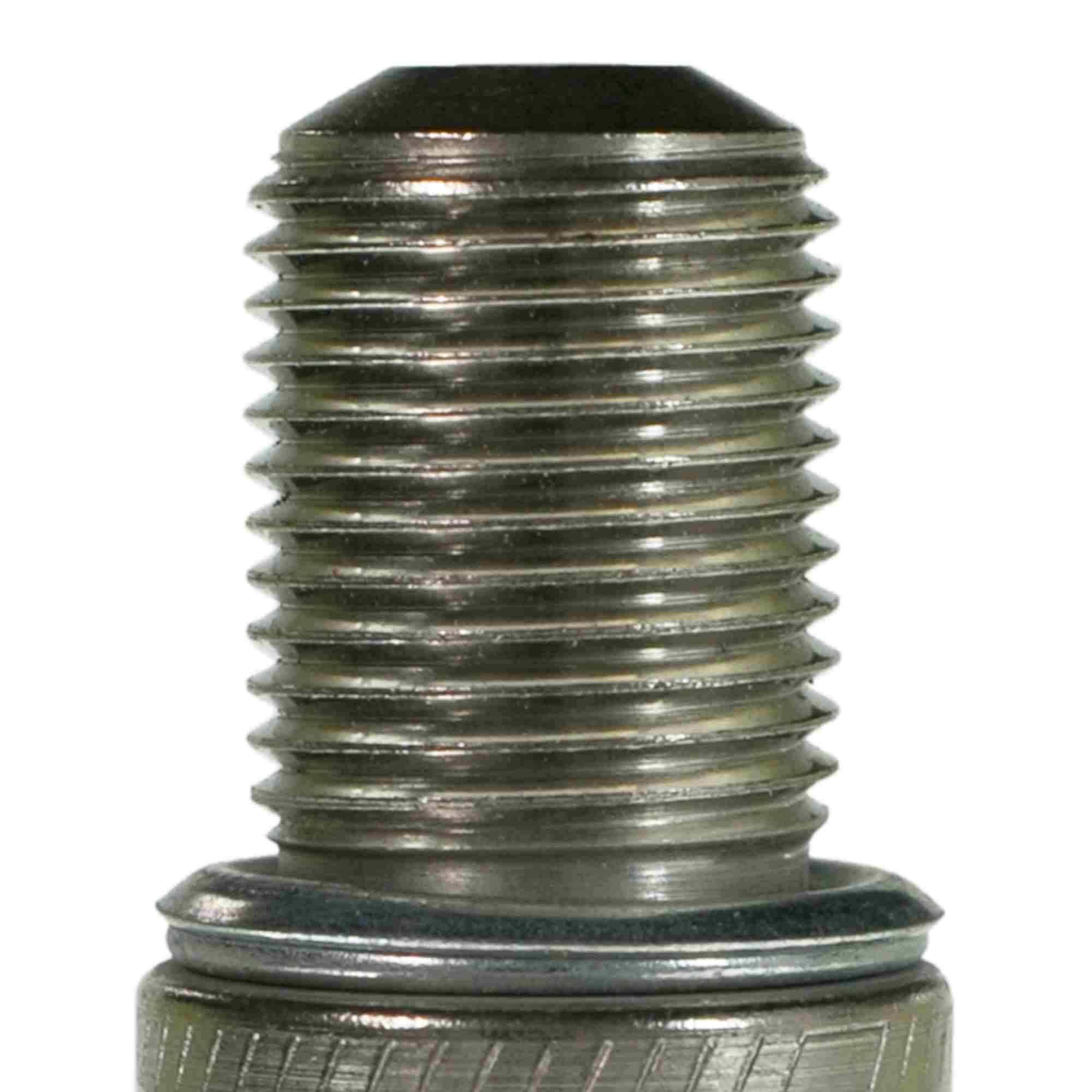 Champion Spark Plug Spark Plug 696