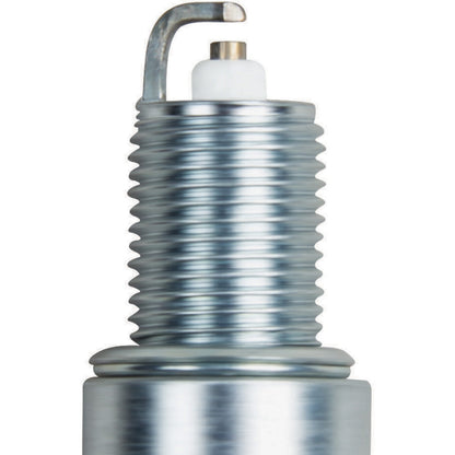 Champion Spark Plug Spark Plug 7031