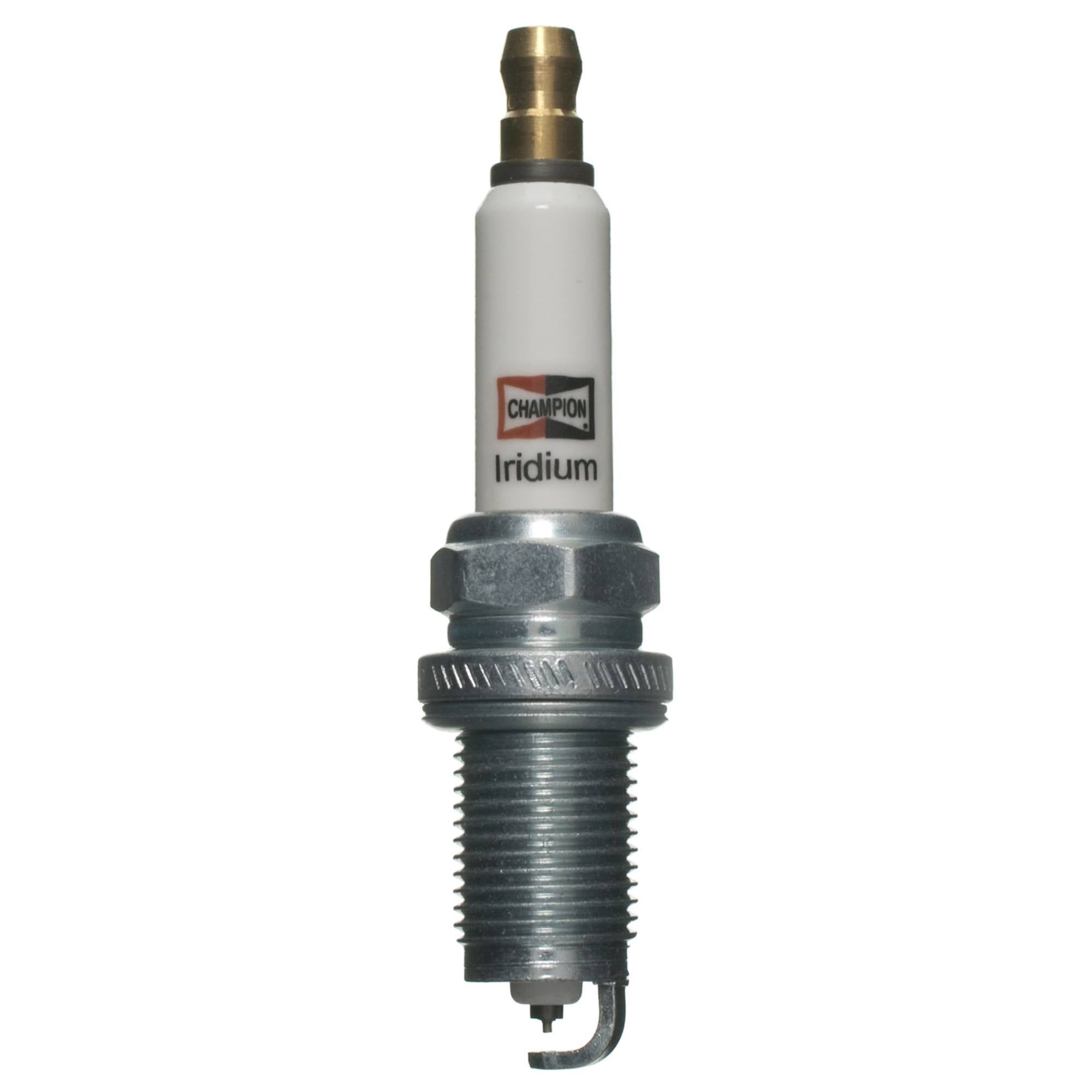 Champion Spark Plug Spark Plug 9813