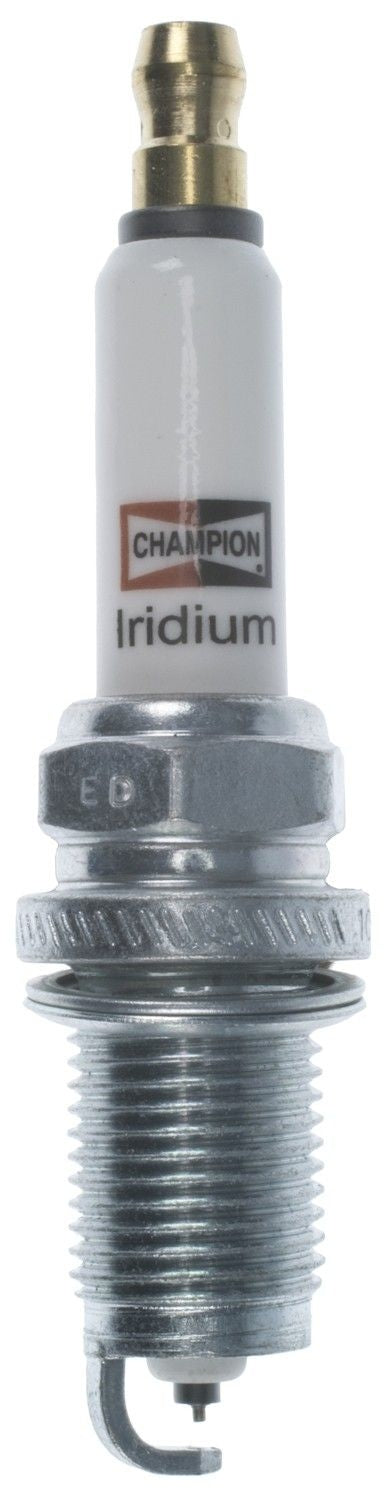 Champion Spark Plug Spark Plug 9813