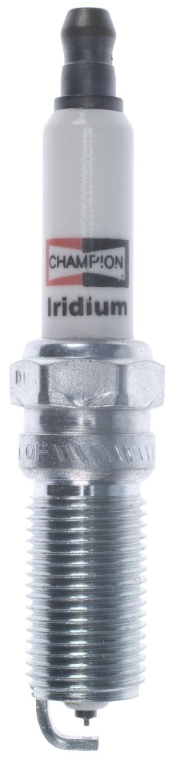 Champion Spark Plug Spark Plug 9901