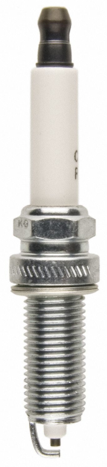 Champion Spark Plug Spark Plug 991