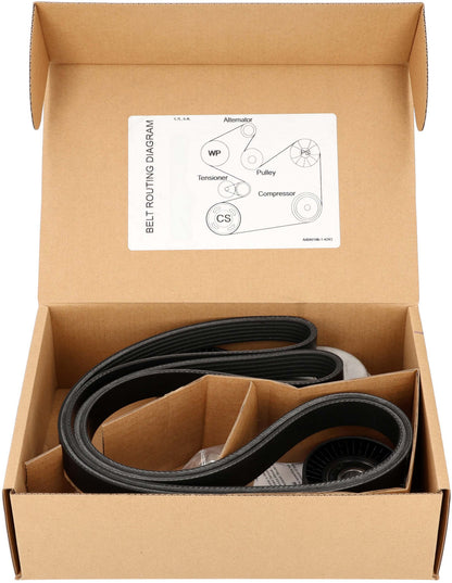 Cloyes High Performance Accessory Drive Belt Kit B40186 main image