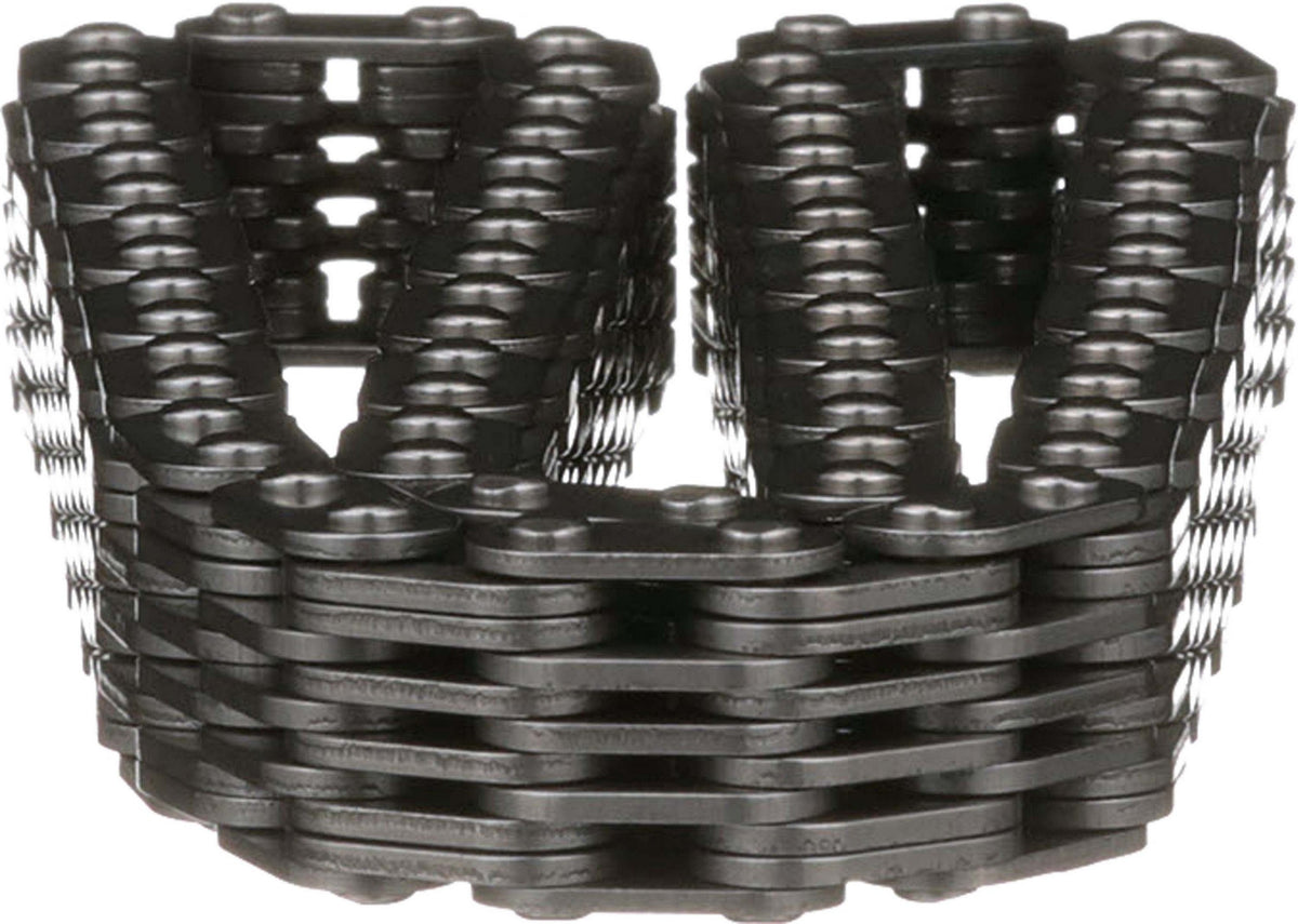 Cloyes Engine Timing Chain C380