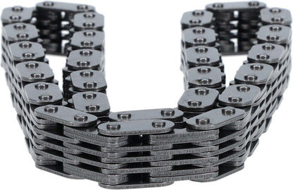 Cloyes Chain, Timing C493