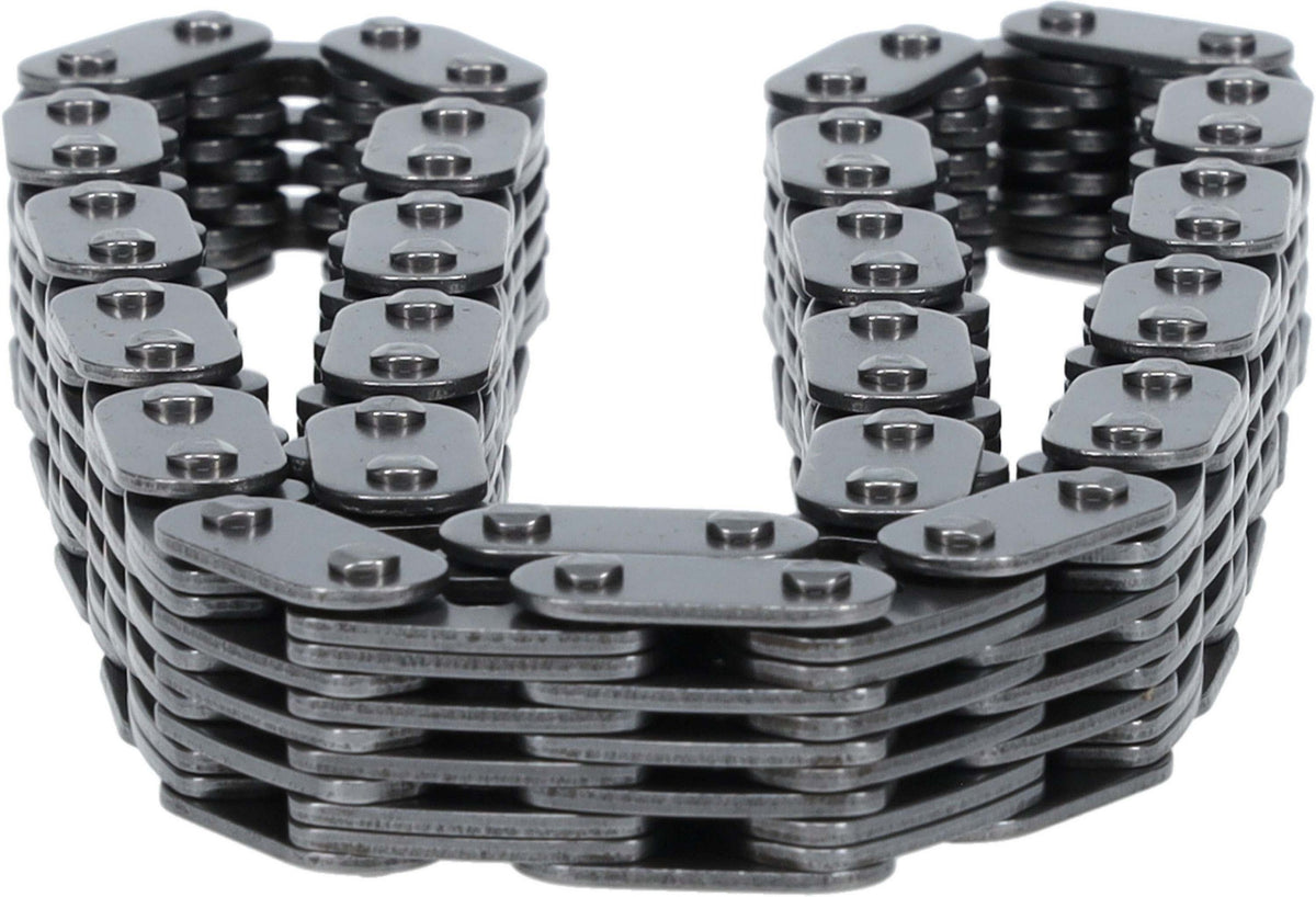 Cloyes Chain, Timing C494