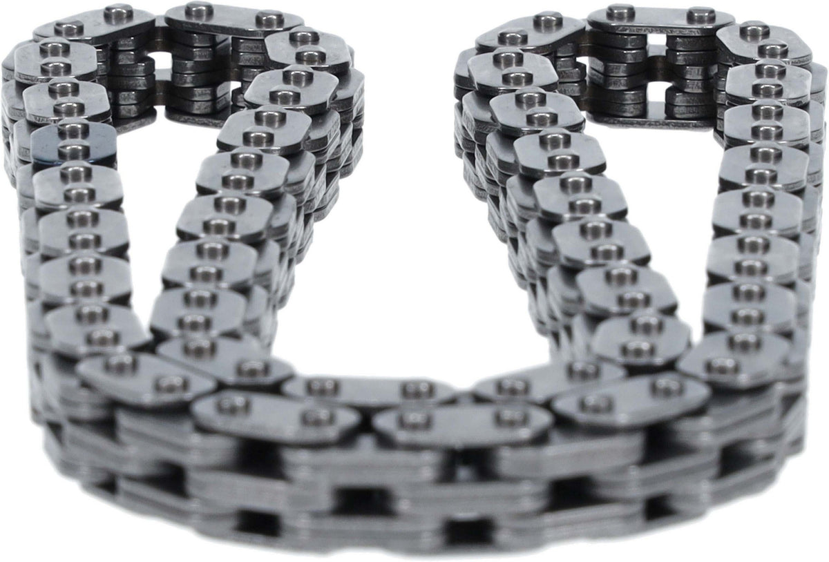 Cloyes Engine Timing Chain C700
