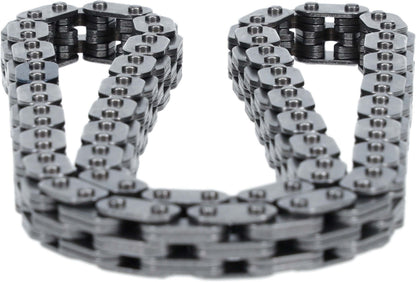 Cloyes Engine Timing Chain C700