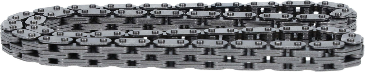Cloyes Engine Timing Chain C700