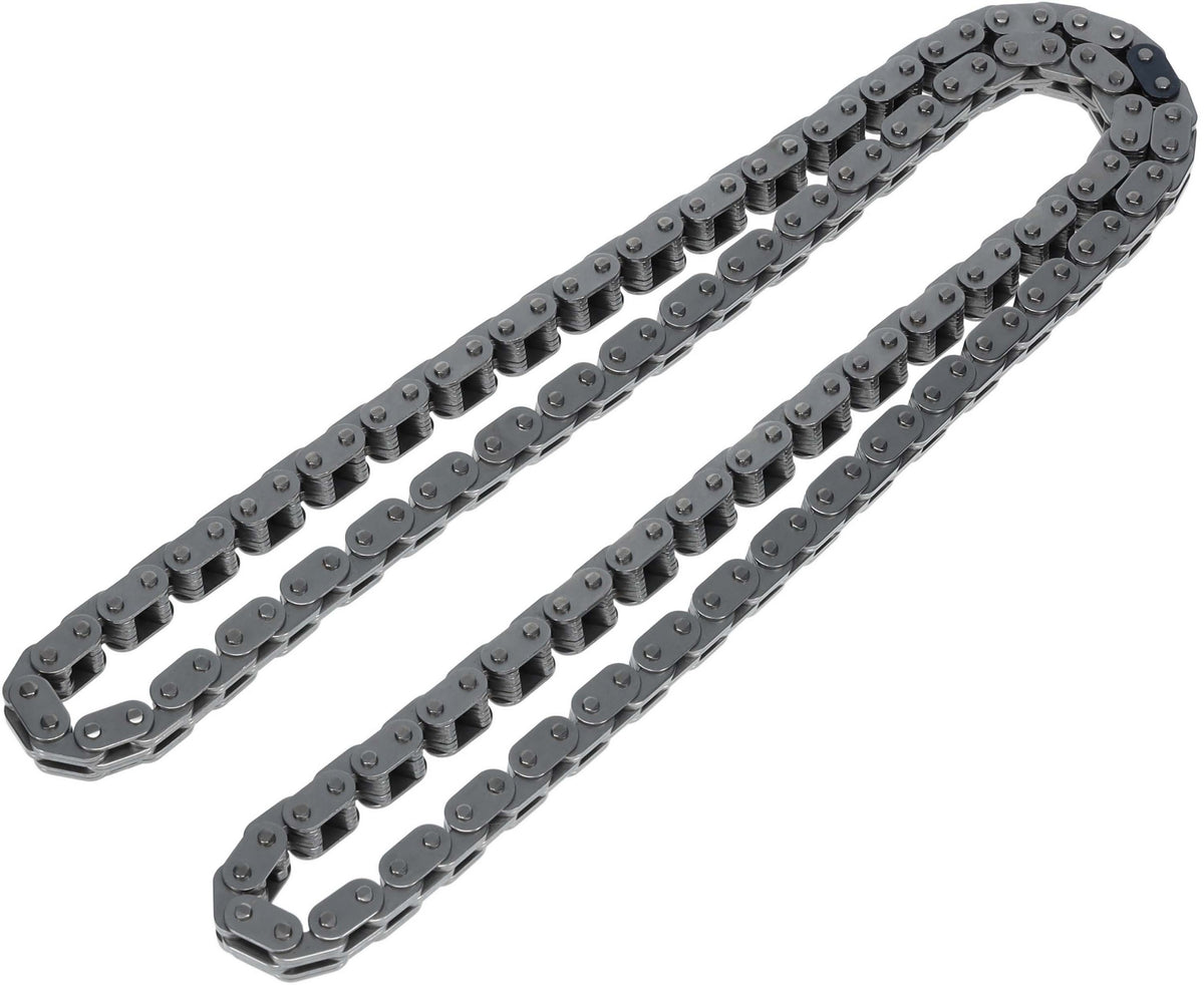 Cloyes Engine Timing Chain C705F