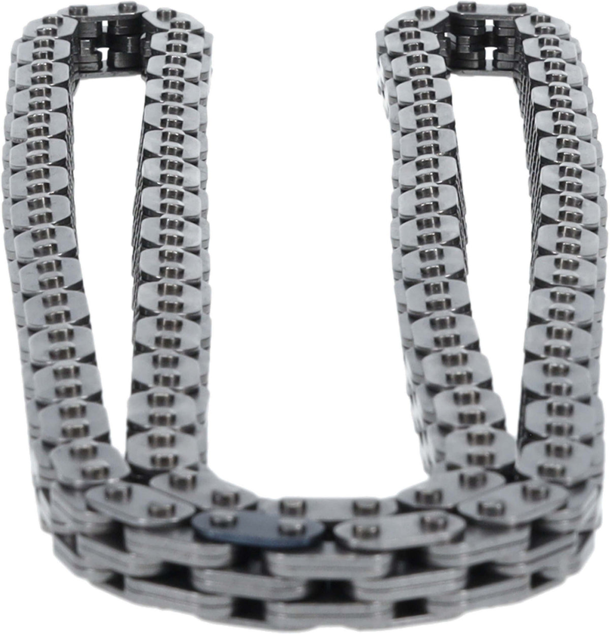 Cloyes Engine Timing Chain C705F