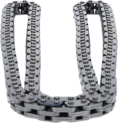 Cloyes Engine Timing Chain C705F