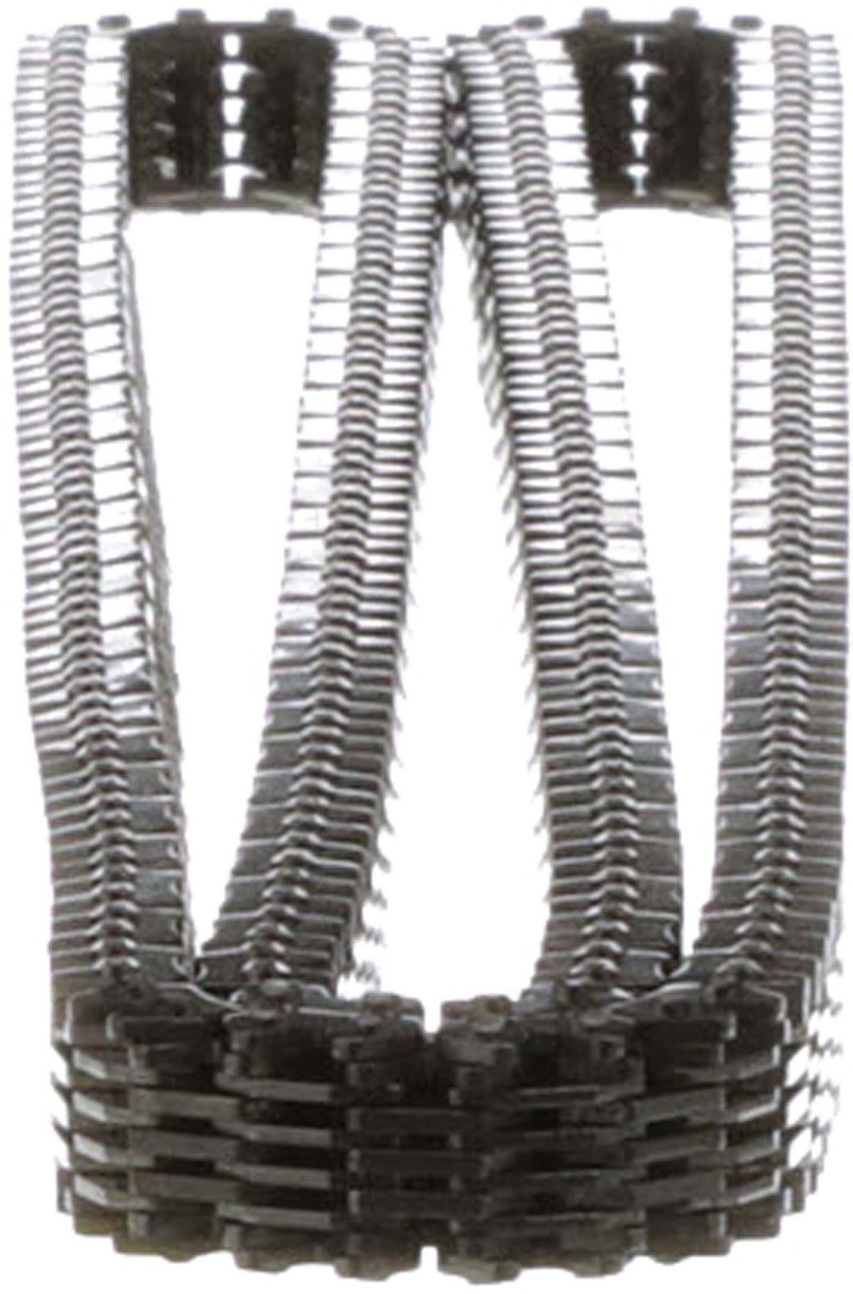 Cloyes Engine Timing Chain C707F