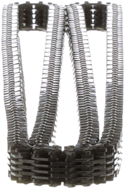 Cloyes Engine Timing Chain C707F