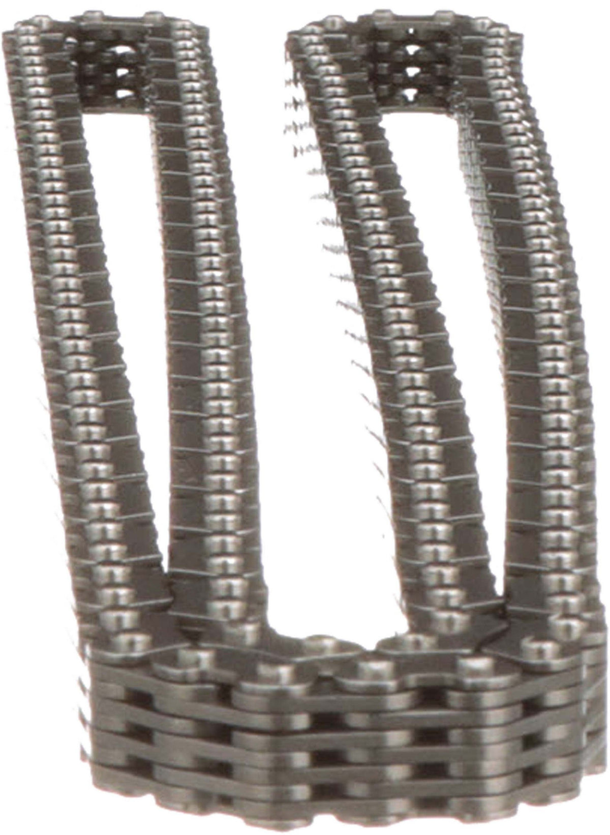 Cloyes Engine Timing Chain C711F