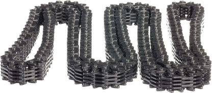 Cloyes Engine Timing Chain C719F