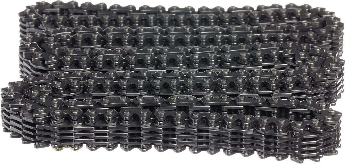 Cloyes Engine Timing Chain C719F