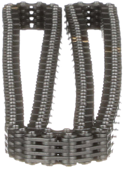 Cloyes Engine Timing Chain C900
