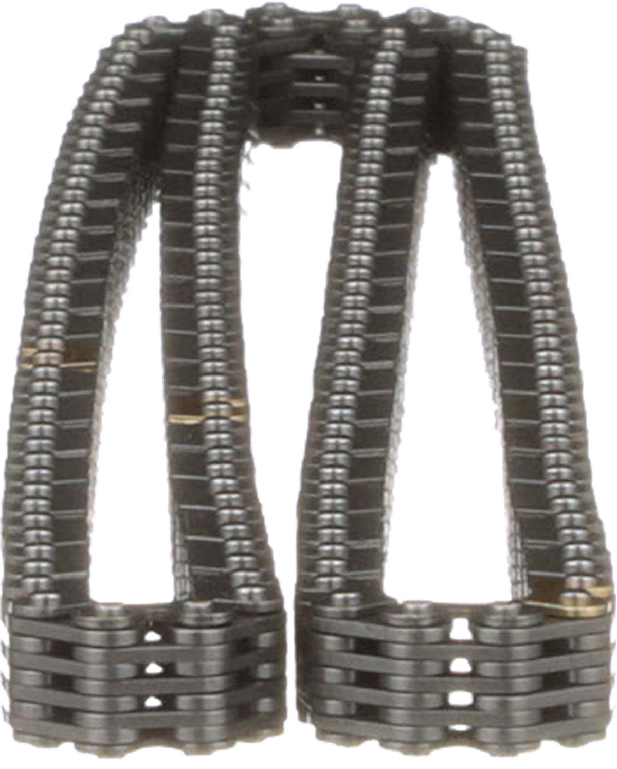 Cloyes Engine Timing Chain C900