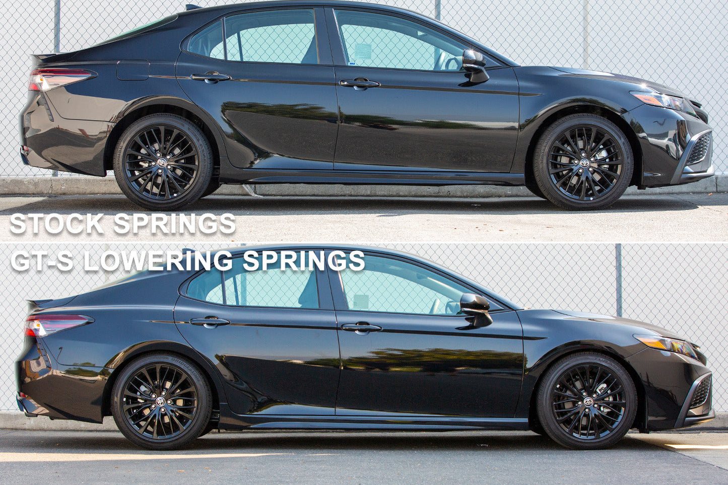 ARK 2018-2021 Toyota Camry GT-S Lowering Springs