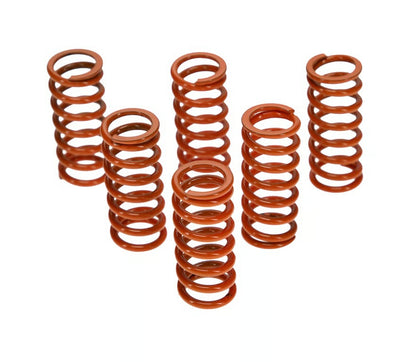 ProX KX500 87-04 Clutch Spring Kit 17.CS44018