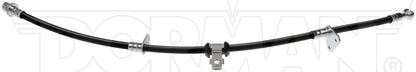 Dorman - First Stop Brake Hydraulic Hose with EPDM Rubber and Corrosion-Resistant Fittings for 1999-97 Acura CL, 1997-90 Honda Accord, 1998-95 Honda Odyssey, 1999-96 Isuzu Oasis H38831