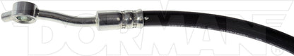 Dorman H622536