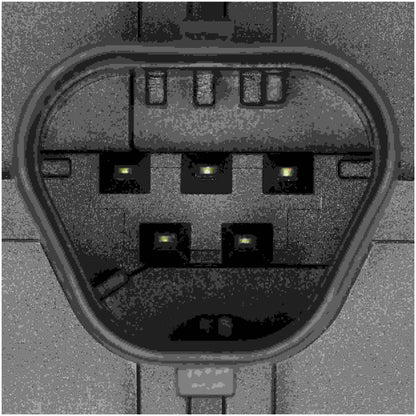 Delphi Mass Air Flow Sensor AF10419