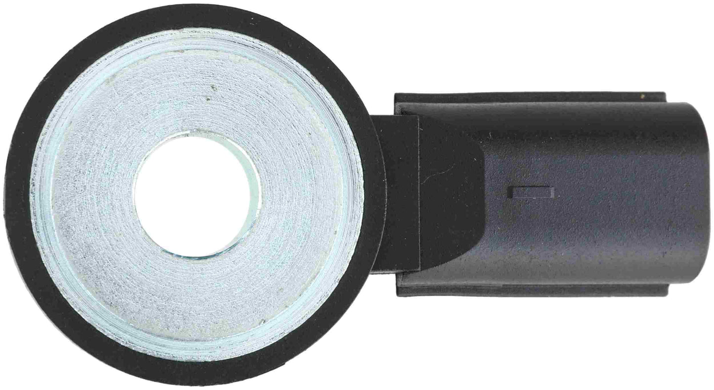 Delphi AS10295