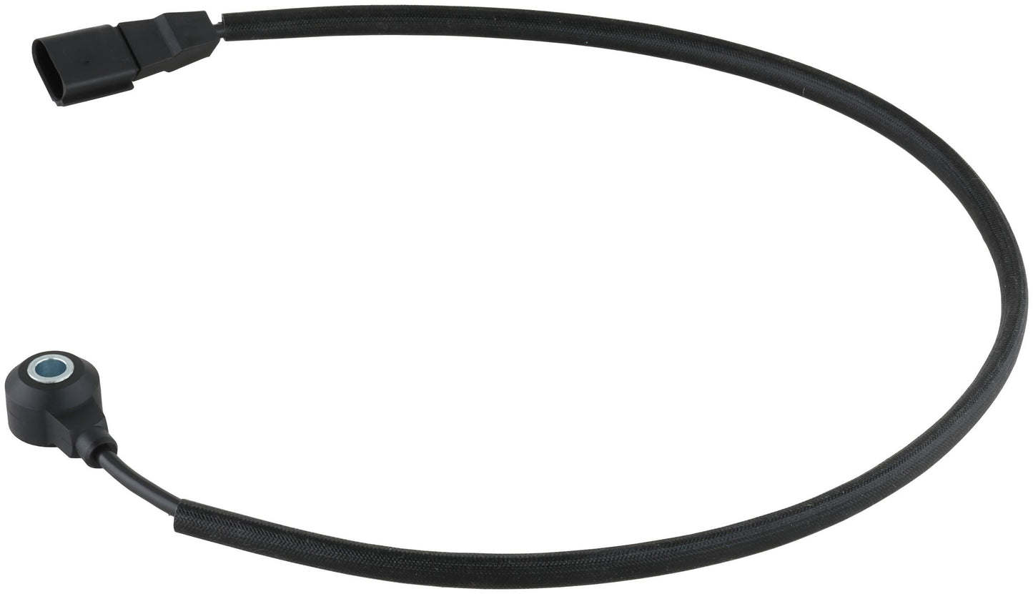 Delphi AS10311