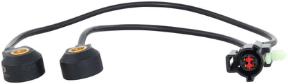 Delphi AS10331