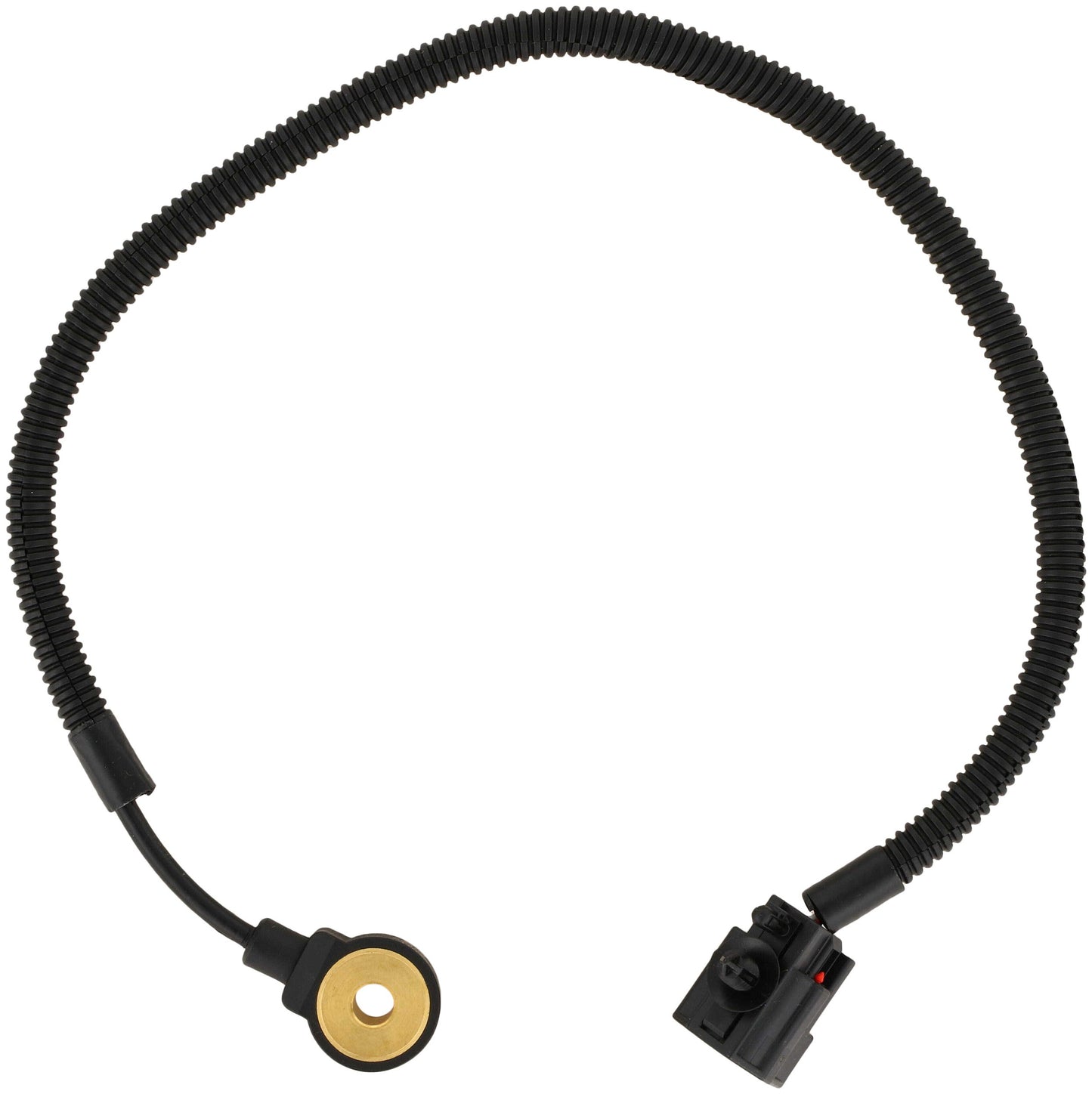Delphi AS10368 image 6