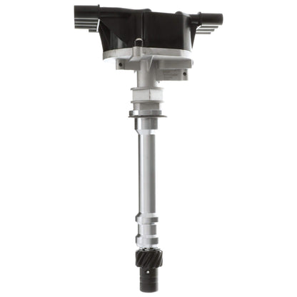 Delphi Distributor CZ20005
