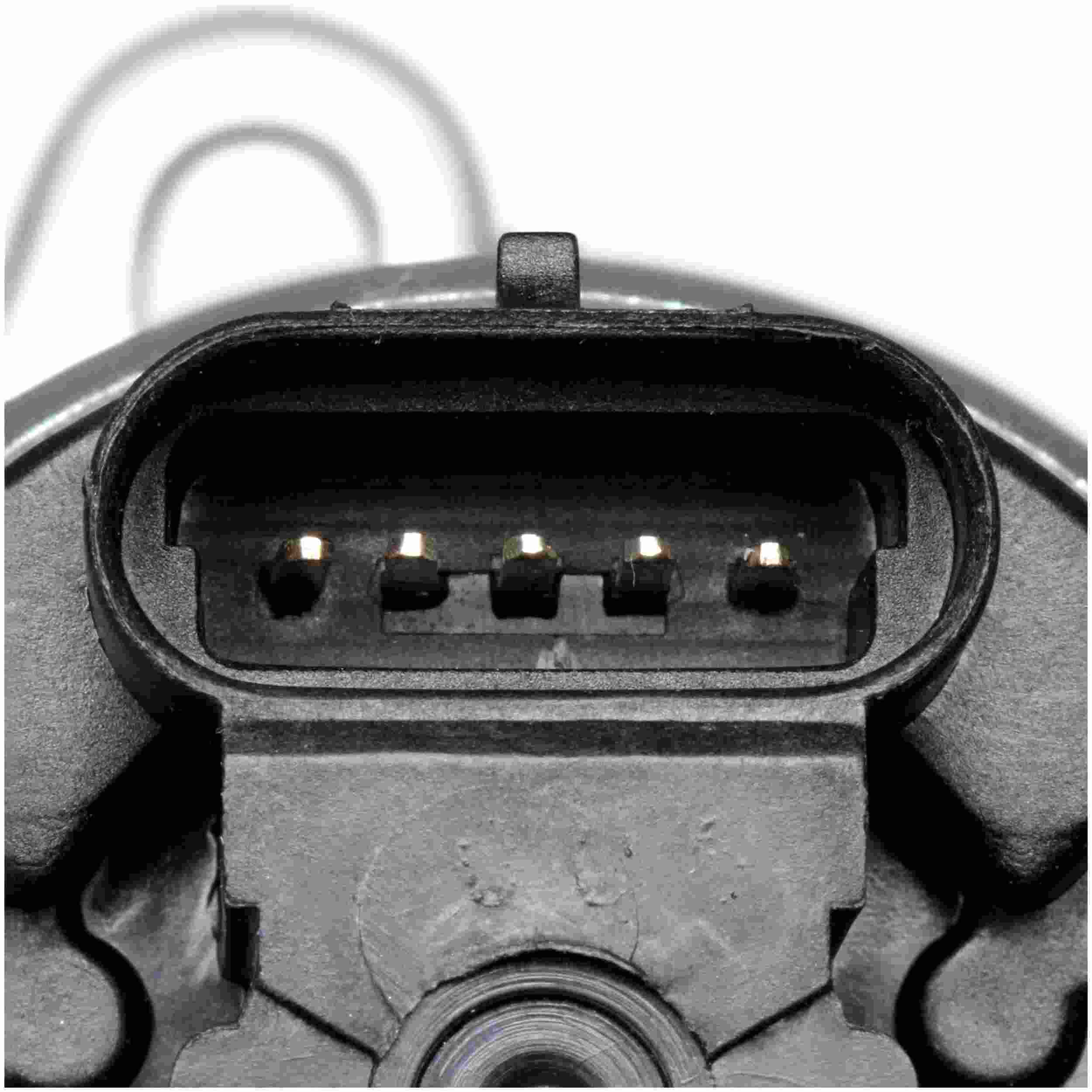 Delphi EGR Valve EG10020