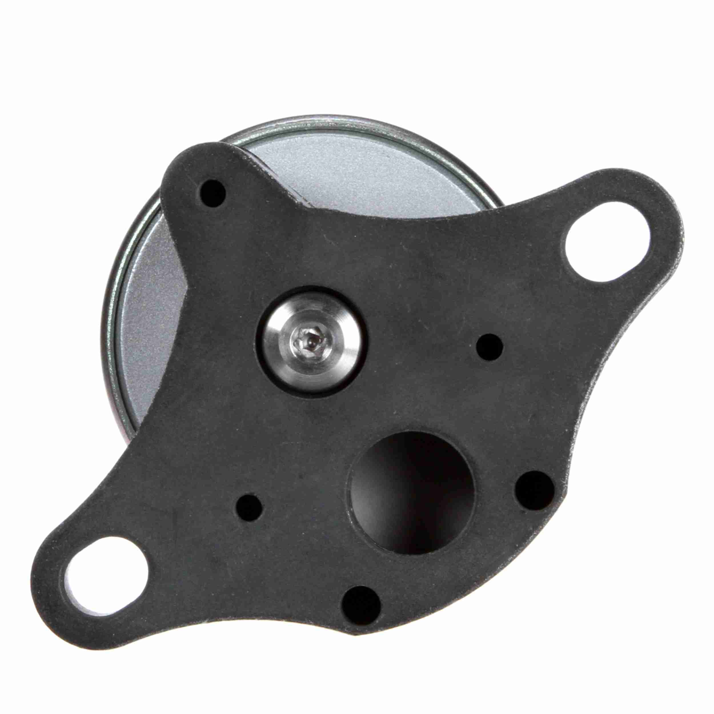 Delphi EGR Valve EG10021