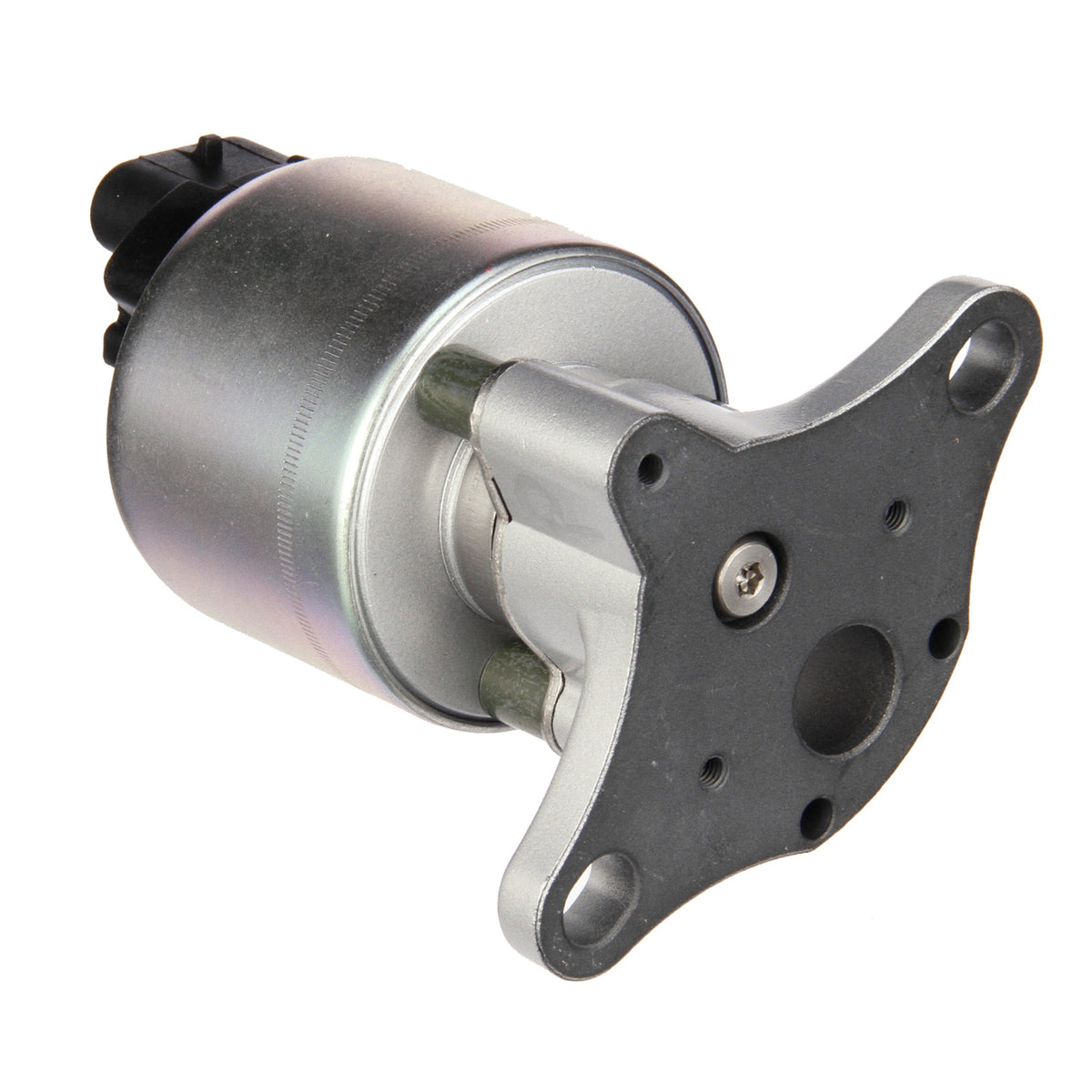 Delphi EGR Valve EG10025