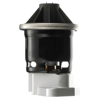 Delphi EGR Valve EG10601
