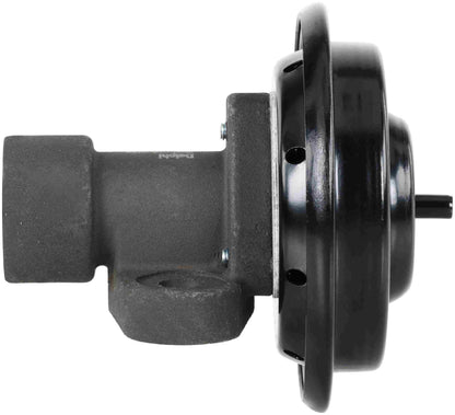Delphi EG10664