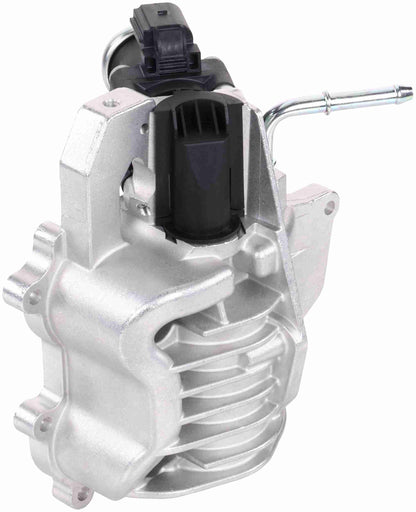 Delphi EG10742