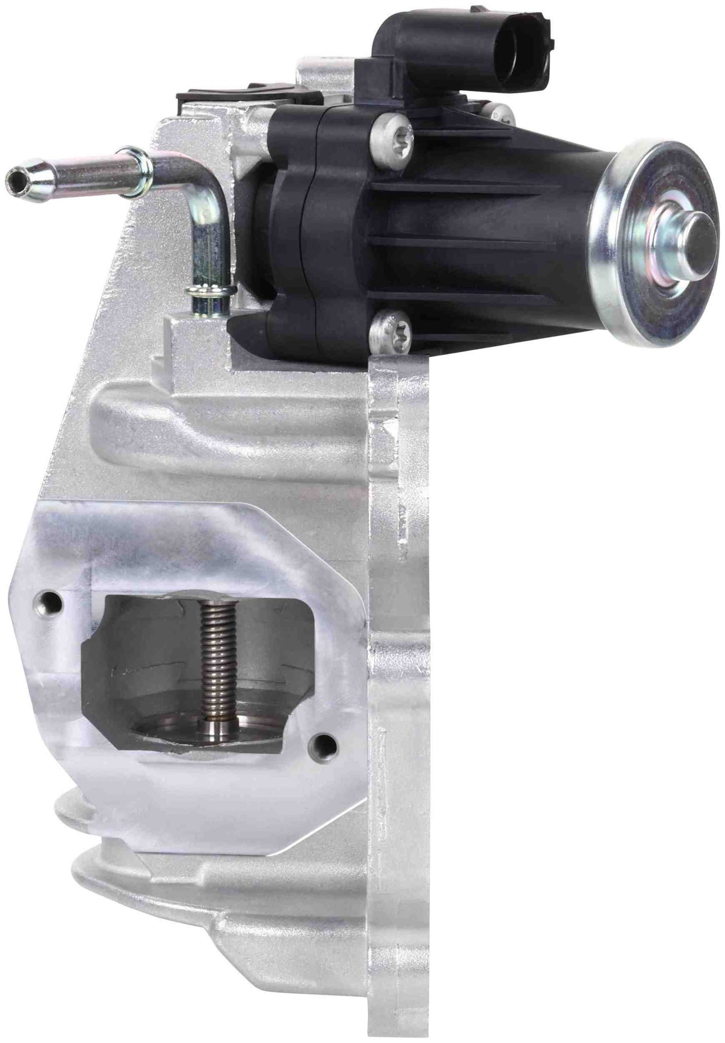 Delphi EG10742