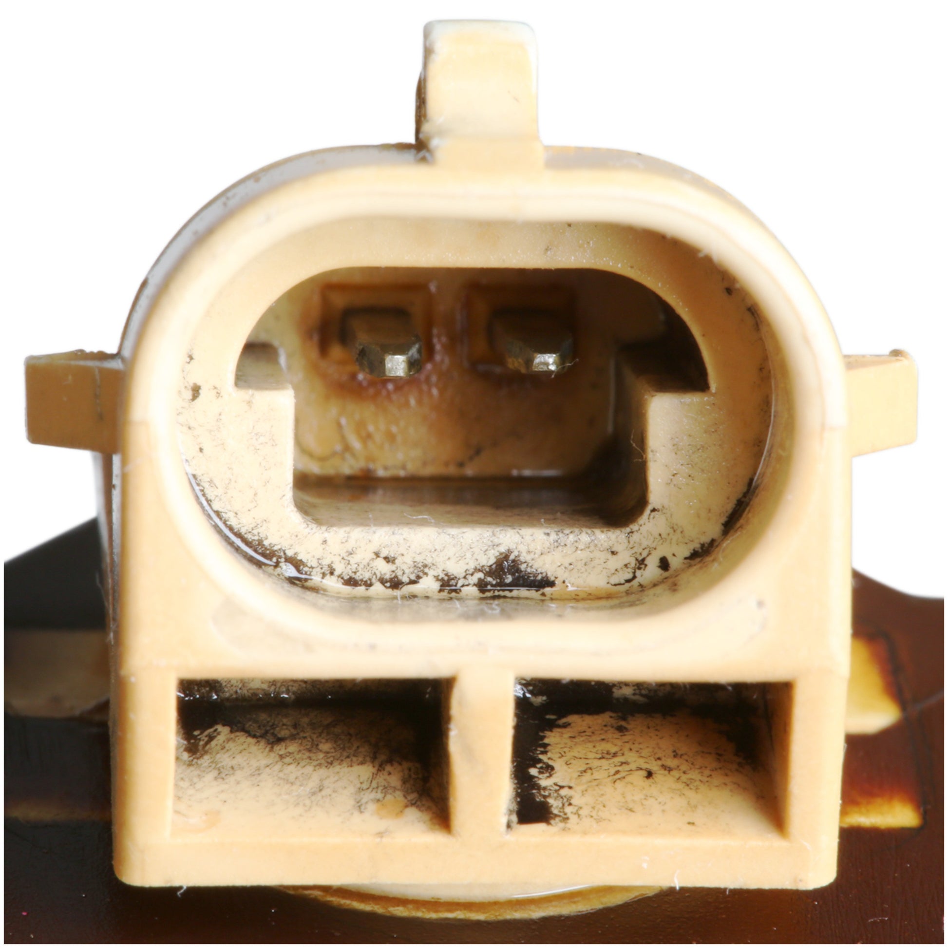 Delphi Fuel Injector EX639350 image 8